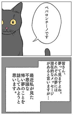 日々のつまずき