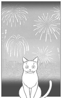 番外編:夏祭りと猫やん