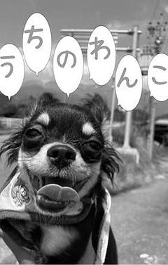 噛んじゃうぞ