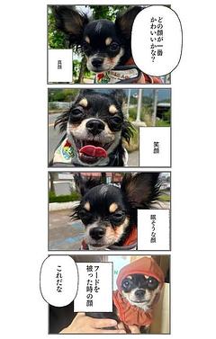 一番いい顔