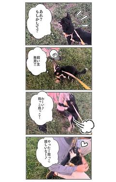 あれ？もしかして？