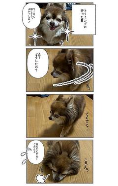トリミング