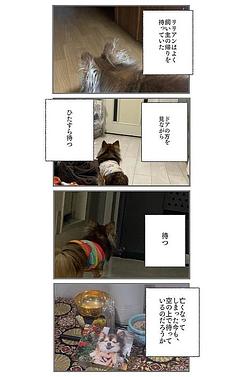 忠犬リリアン