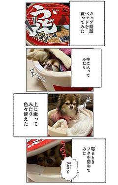 うどんベッド