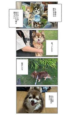 リリアンに会いたい