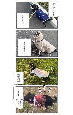 おしゃれ