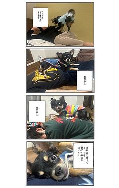 乗っかり犬