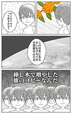 キンモクセイ