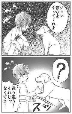 犬の特技