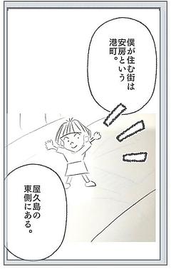 トビウオの網